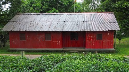 Kalighat Post Office Story(8)